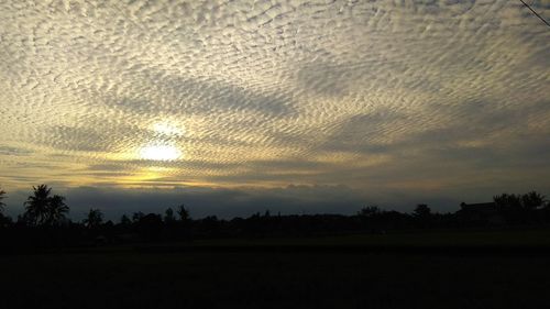 Silhouette trees on field against sky at sunset