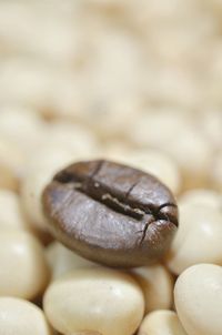 Close-up of coffee beans