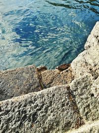 High angle view of rocks on beach