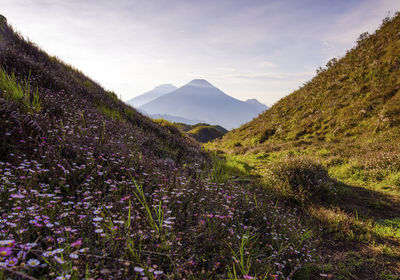 Scenic view of mountains against sky