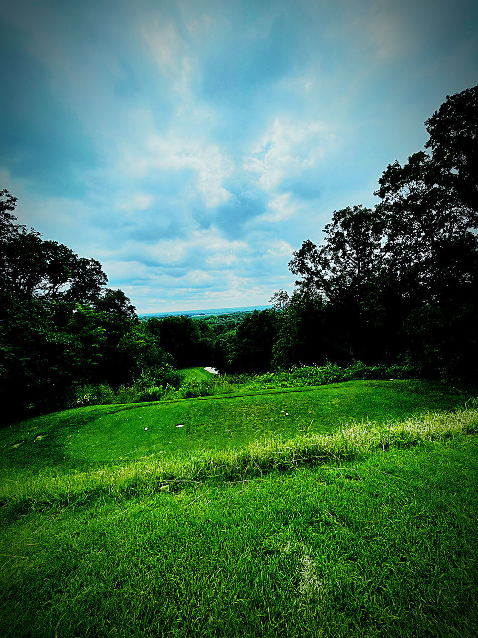 plant, green, nature, tree, grass, sky, sunlight, beauty in nature, environment, cloud, tranquility, landscape, land, scenics - nature, field, no people, growth, meadow, tranquil scene, lawn, light, morning, leaf, outdoors, flower, horizon, grassland, hill, non-urban scene, day, rural area, plain, idyllic, reflection