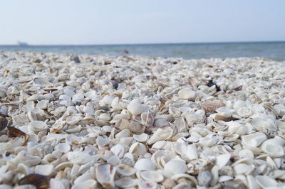 Close-up of pebbles on beach against clear sky