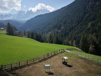 Scenic view of field against sky