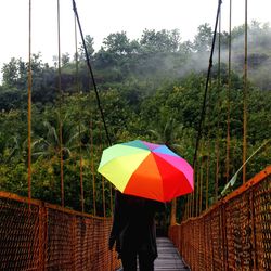 Rear view of man with umbrella walking of footbridge