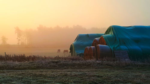 View of agricultural field during sunset