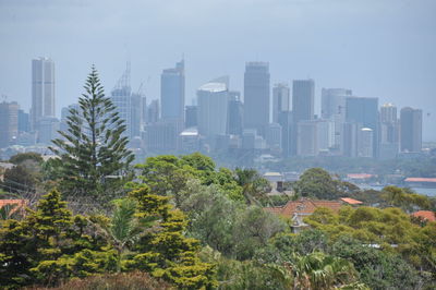 Trees and buildings in city against sky