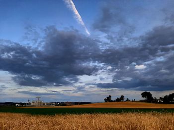 Scenic view of agricultural field against sky