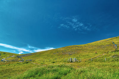 Scenic view of landscape against blue sky