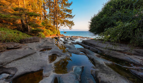 Scenic view of river against sky