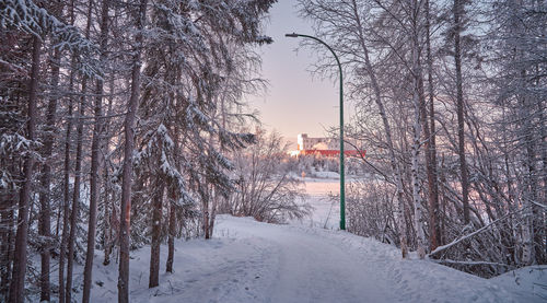 Snow trail in yellowknife