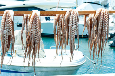 Close-up of fish for sale