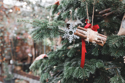 Diy natural dry cinnamon sticks decoration on ribbon on christmas tree