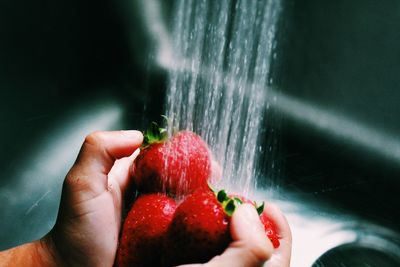 Cropped hands washing strawberries