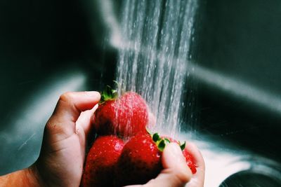 Close-up of hand holding fruit