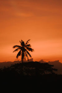 Silhouette palm tree against sky during sunset