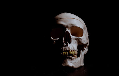 Close-up of human skull against black background