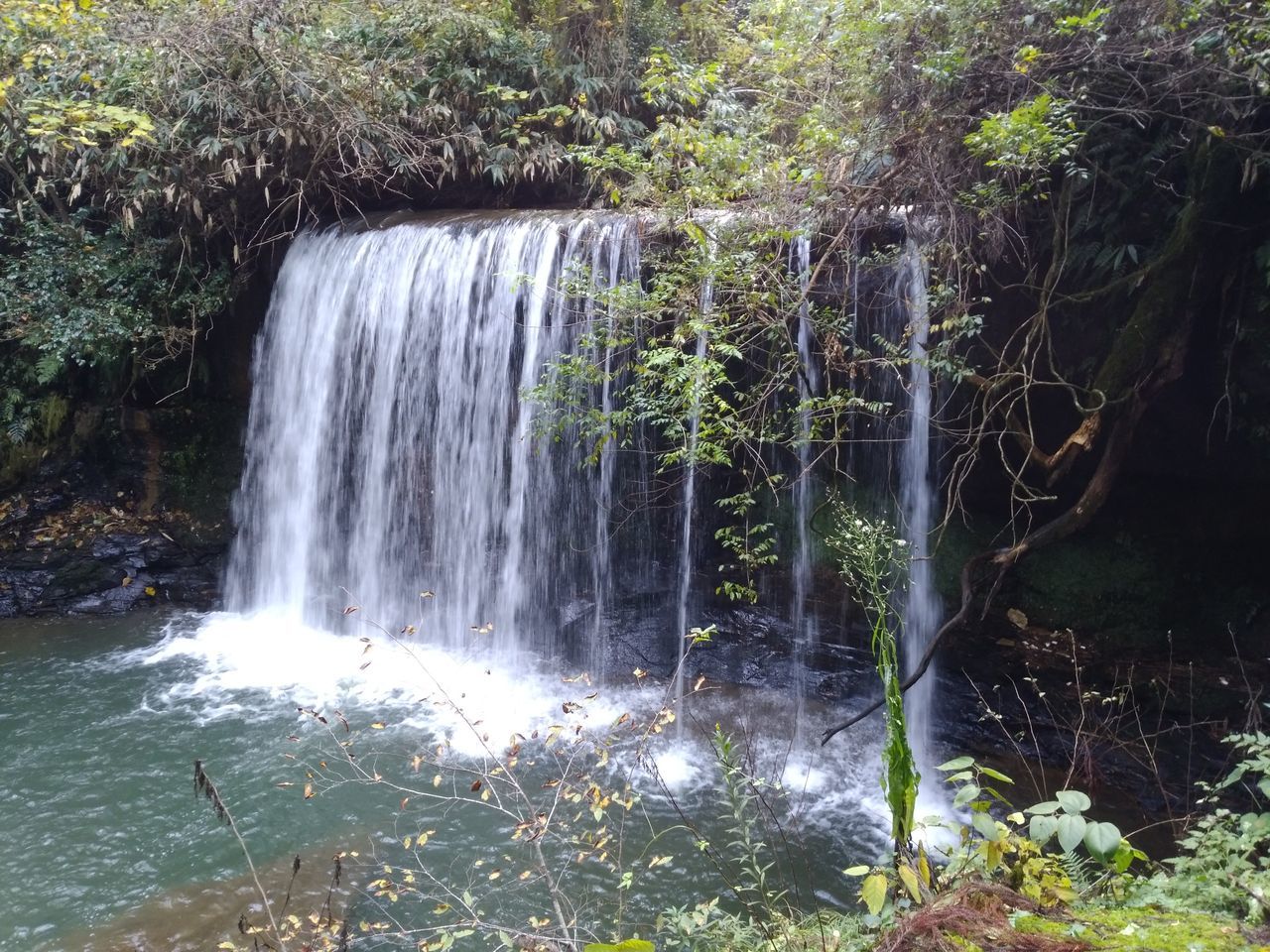 waterfall, motion, flowing water, long exposure, water, nature, beauty in nature, forest, blurred motion, scenics, outdoors, tree, no people, day, river, growth, plant