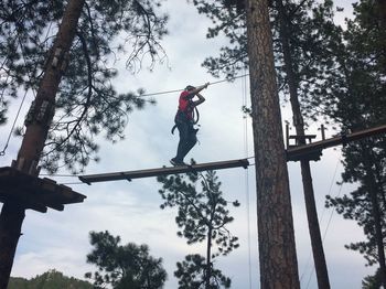 Low angle view of man climbing on tree in forest against sky