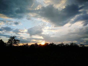 Low angle view of silhouette trees against sky during sunset