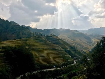 Panoramic view of agricultural field against sky