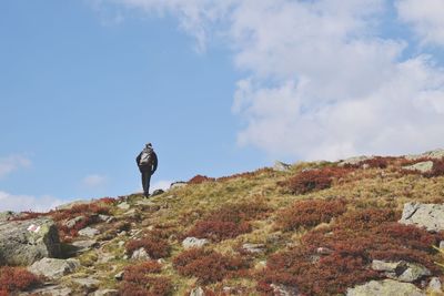 Rear view of man standing on rock against sky