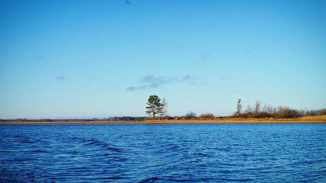 water, blue, tranquil scene, tranquility, waterfront, scenics, beauty in nature, tree, nature, clear sky, rippled, lake, copy space, sky, idyllic, calm, non-urban scene, day, outdoors, no people