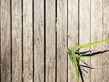 Close-up of wooden fence against wall