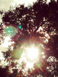 Low angle view of trees against sky