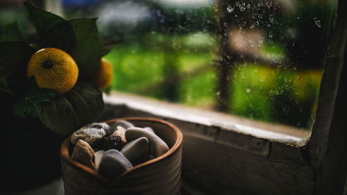 Close-up of fruit by pebbles in container by window at home