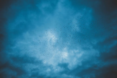 Low angle view of birds flying against sky