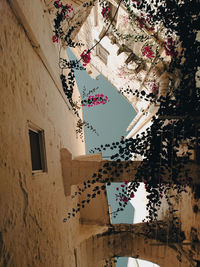 Low angle view of building against sky