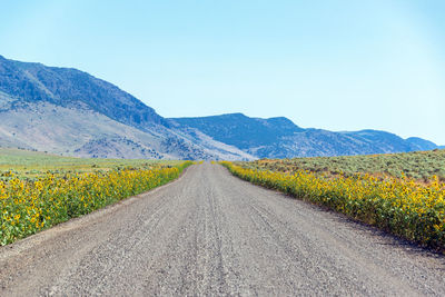 Road leading towards mountains against clear sky