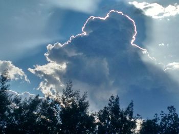 Low angle view of trees against dramatic sky