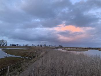 Scenic view of agricultural field against sky