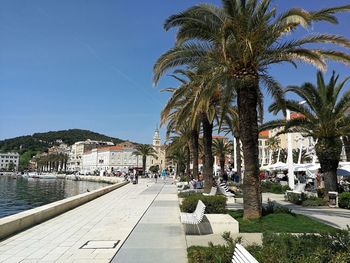 Palm trees and buildings against sky