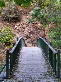 View of footbridge in forest