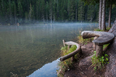 Scenic view of lake in forest