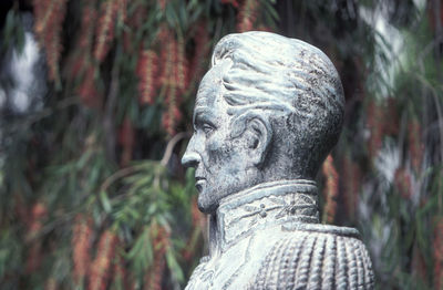 Close-up of statue against tree