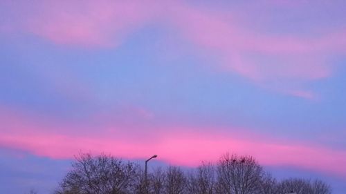 Silhouette trees against dramatic sky during sunset