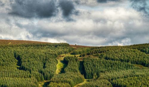 Scenic view of field against cloudy sky