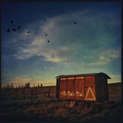 Birds flying over white background