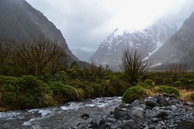 Scenic view of mountains