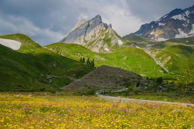 Scenic view of grassy field against sky