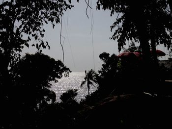 Scenic view of trees against sky