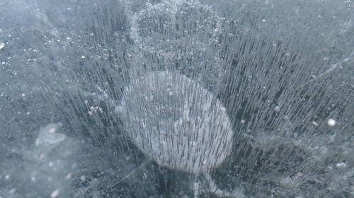 Full frame shot of wet spider web