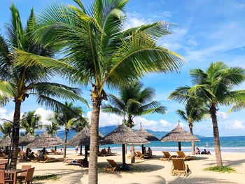 Palm trees on beach against sky