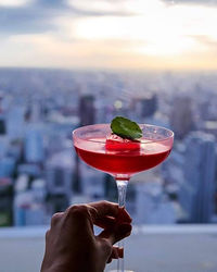 Cropped hand of woman holding wineglass