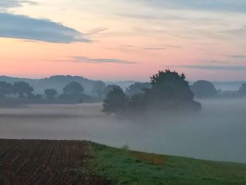 Scenic view of field against sky during sunset