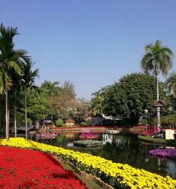 Scenic view of flower trees against clear sky