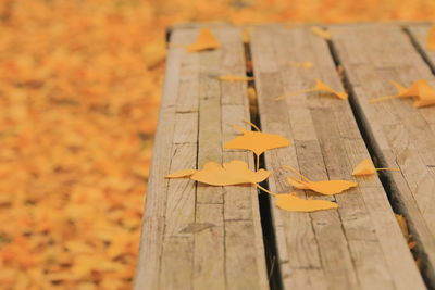 Close-up of yellow umbrella on wooden table